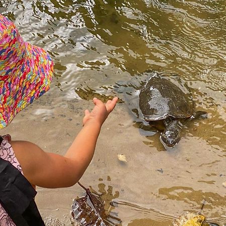 Tasman Holiday Parks - Cairns Cool Waters Bagian luar foto