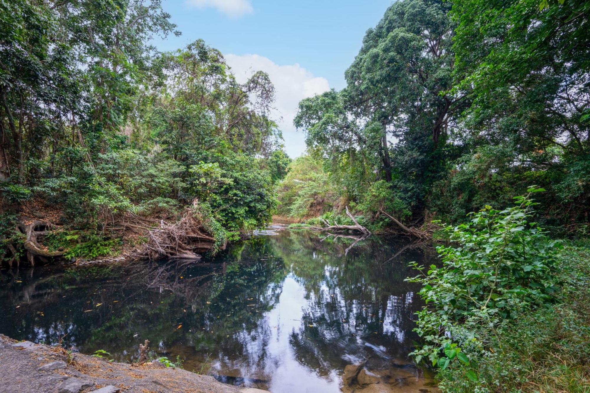 Tasman Holiday Parks - Cairns Cool Waters Bagian luar foto