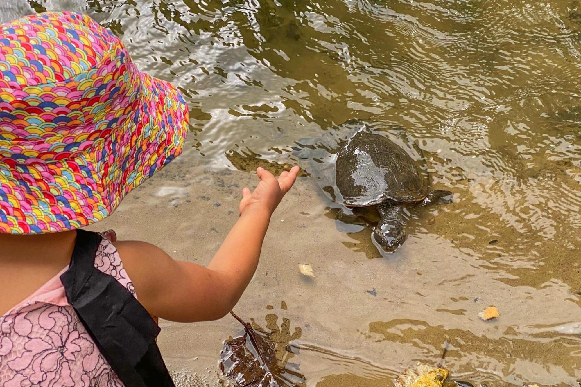 Tasman Holiday Parks - Cairns Cool Waters Bagian luar foto
